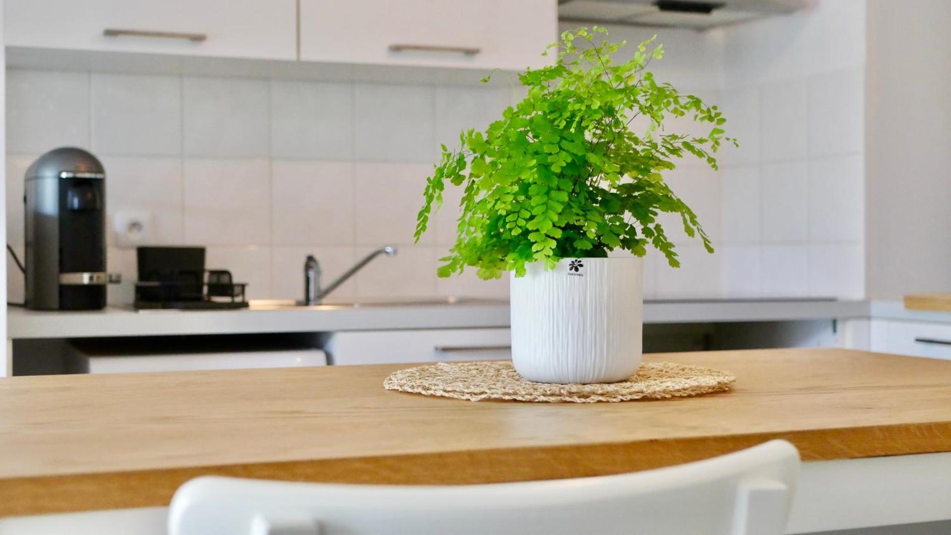 Appartement Joli T2 Avec Jardin Proche Du Chateau D'Arcangues Extérieur photo